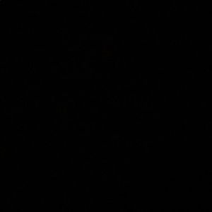 Meet your Posher, Jerry